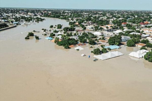 Ambaliyar Maiduguri