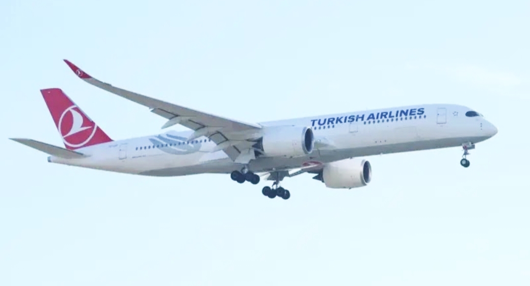 Airline