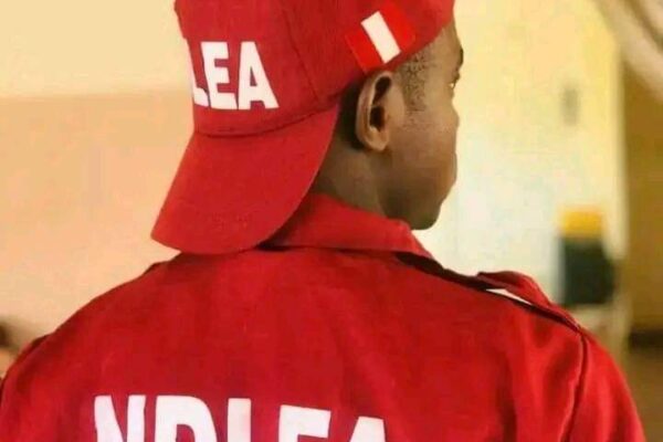 NDLEA