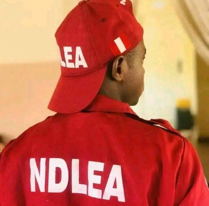 NDLEA