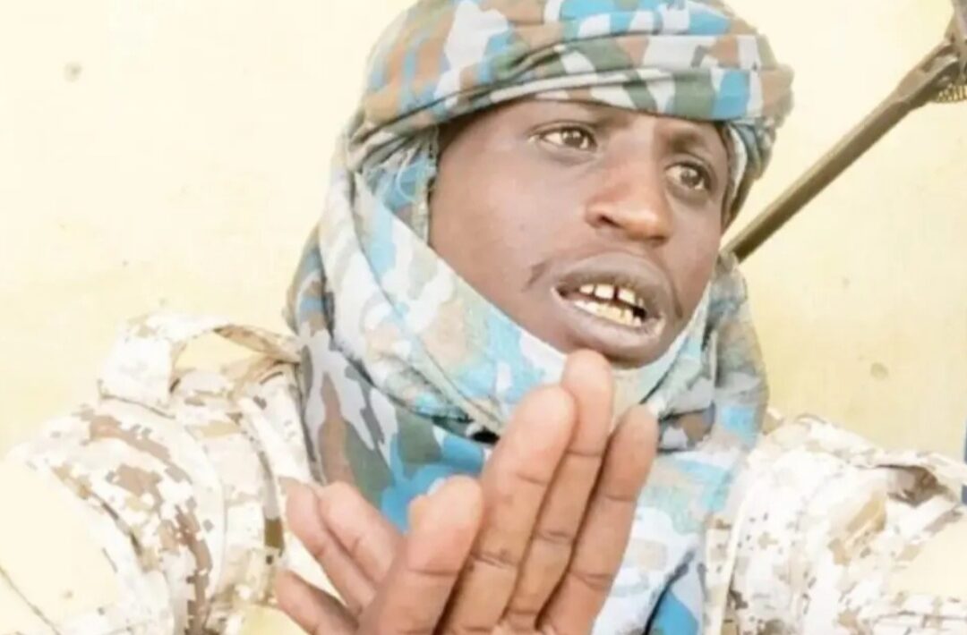 Turji