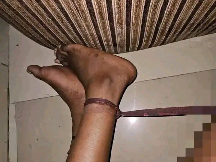 1001211660