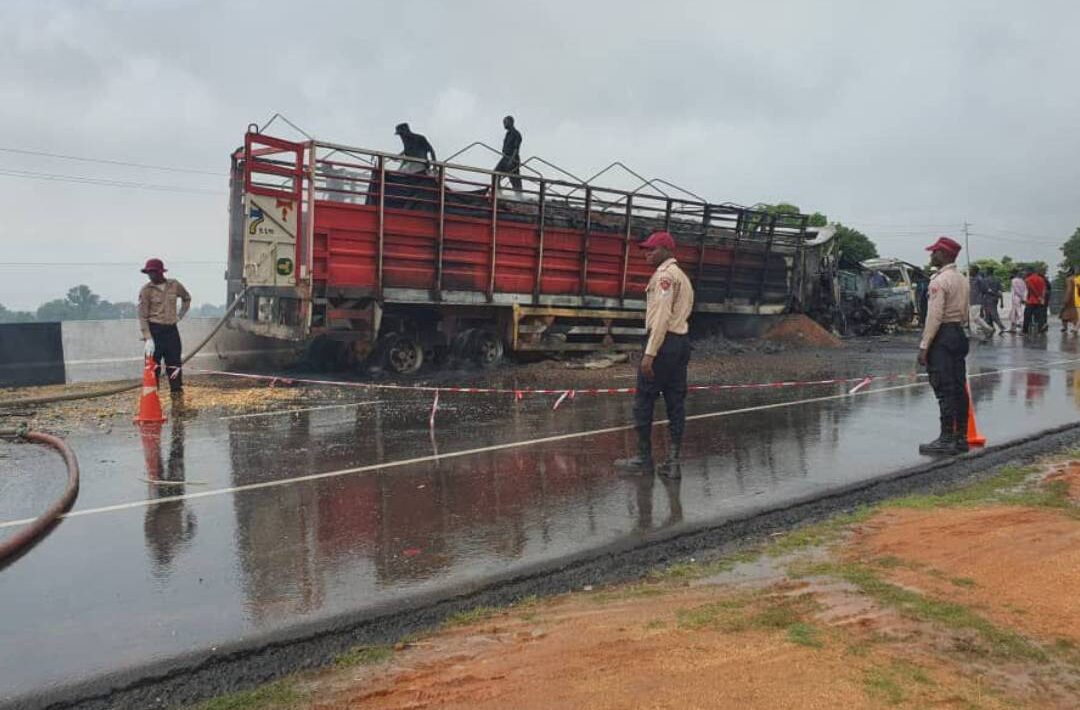 IMG 192618 06725 1751826392177